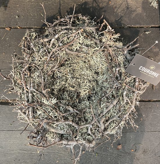 Mos Krans NEST bonsai| Naturel | 30 cm