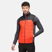 De Regatta Halton V Hybrid Bodywarmer - outdoorbodywarmer - heren - stretch - waterafstotend - Oranje