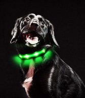 Lichthalsband voor honden ,(S, Groen)