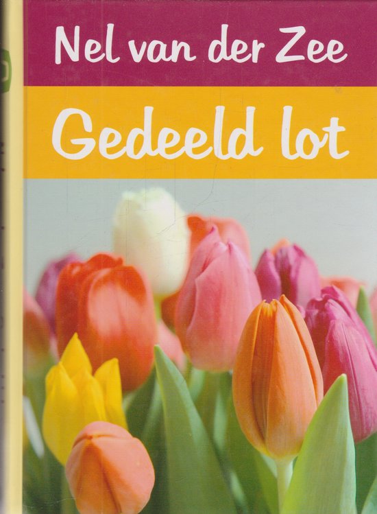 Gedeeld Lot - cover