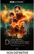 Fantastic Beasts: The Secrets of Dumbledore (4K Ultra HD)