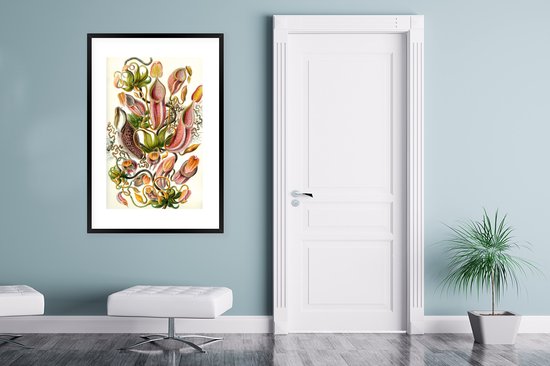 Affiche avec cadre Design - Botanique - plant carnivore - Ernst Haeckel - 80x120 cm