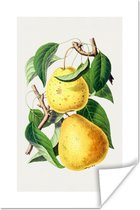 Affiche Poires - Nourriture - Fruits - 120x180 cm XXL