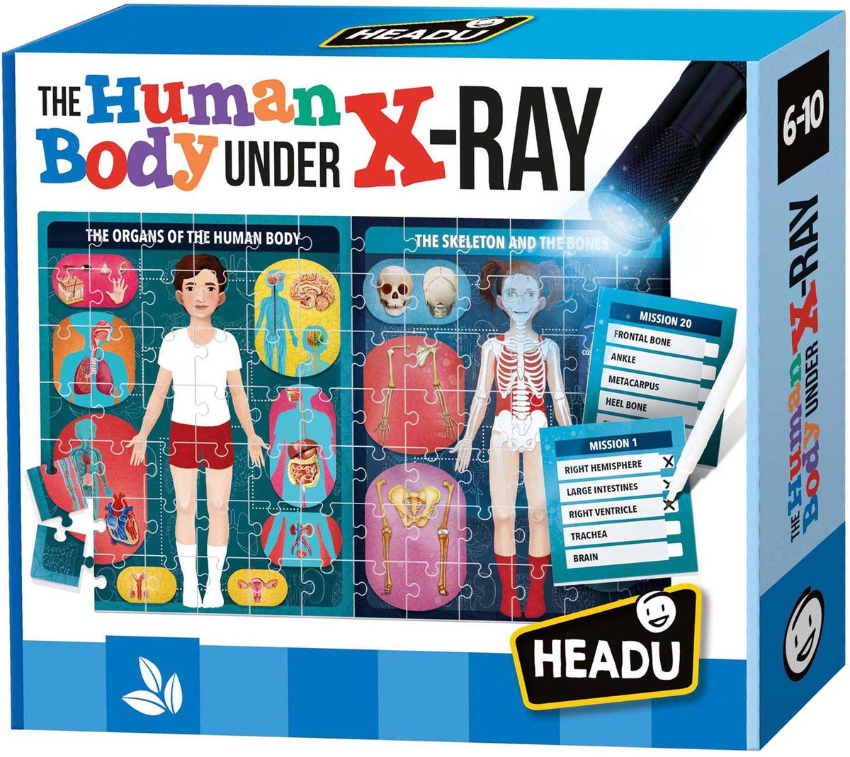 Headu The Human Body Under the X-Ray Puzzel Spel (EN)
