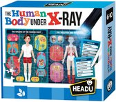 Headu The Human Body Under the X-Ray Puzzel Spel (EN)