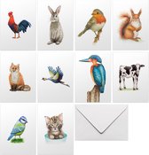 10 wenskaarten Hollandse dieren met envelop - dubbelgevouwen kaarten in luxe doosje - A6 formaat - illustraties handgeschilderd door Mies