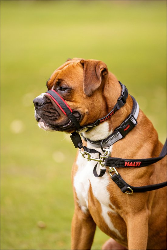 Halti OptiFit Headcollar - Hond - Anti trekhalsband - Maat L - Voor Rottweiler, Newfoundlander, Duitse herder, Duitse dog - Halti