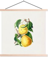 Porte-affiche avec affiche - Affiche scolaire - Poires - Feuilles - Nourriture - 60x60 cm - lattes vierges