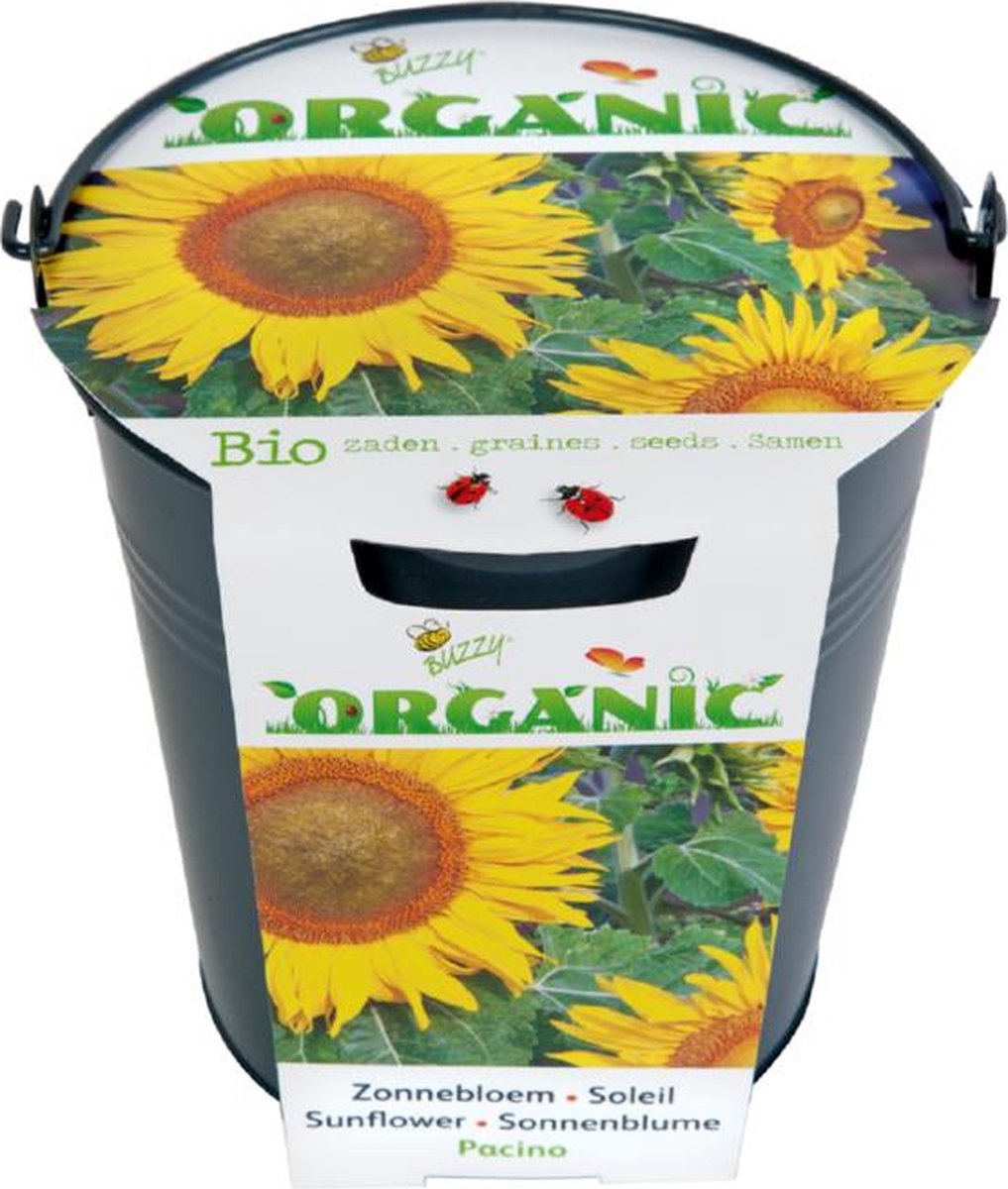 Buzzy Organic Bio emmertje Zonnebloem