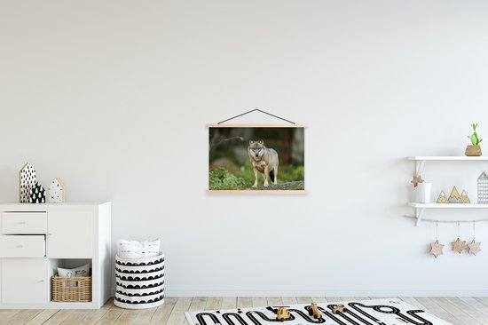 Affiche textielposter Loup eurasien 60x40 cm