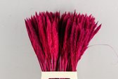 Oneiro’s Luxe Droogbloemen DF Pampas Silvy Bs(10pc) Cerise 75cm – hotel chique - binnen - accessoires - decoratie – bloemen – mat – glans – industrieel