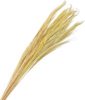 Oneiro’s Luxe Droogbloemen pb. broom grass 100 gr yellow 90-100 cm – hotel chique - binnen - accessoires - decoratie – bloemen – mat – glans – industrieel