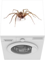 Wasmachine beschermer mat - Grijze huisspin op witte achtergrond - Breedte 60 cm x hoogte 60 cm