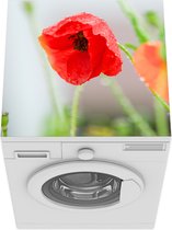 Wasmachine beschermer mat - Dauw op een rode papaver - Breedte 60 cm x hoogte 60 cm