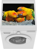 Wasmachine beschermer mat - Een close up van drie Zonparkieten - Breedte 55 cm x hoogte 45 cm