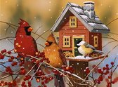 Diamond Painting - Vogelhuisje - Sneeuw - 30x40 cm - Vierkante Steentjes - Dieren - Volwassenen - Kerst - Hobby - Cadeau - Moederdag - Kado