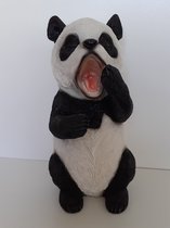 Panda beeld grote panda die gaapt Tuinbeeld voor binnen of buiten 30x15x18 cm