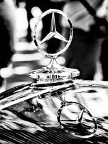 60 x 80 cm - Glasschilderij - Mercedes logo - schilderij fotokunst - foto print op glas