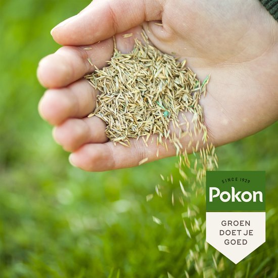 Pokon Graszaad Inzaai - 1kg - Gazonzaad - Geschikt voor 12,5m² - IJzersterk groen en zelfherstellend gras - Pokon