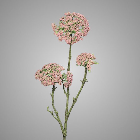 Brynxz-anethum-89cm-rosee
