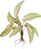 Kunstplant Calathea - Polyester - Groen - 40 cm hoog