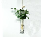 DWIH - Minimalistische Plantenhanger Hydrocultuur Woondecoratie- stekjes - Moderne Bloemen Vaas - Maat M