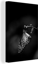 Canvas schilderij 90x140 cm - Wanddecoratie Vlinder op een dunne tak - zwart wit - Muurdecoratie woonkamer - Slaapkamer decoratie - Kamer accessoires - Schilderijen