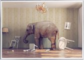 Poster Met Metaal Zilveren Lijst - Kalmte-olifanten Poster