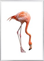 Poster Met Metaal Zilveren Lijst - Love Flamingo Poster