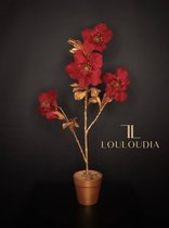 Silkka Helleborus bloem rood/goud