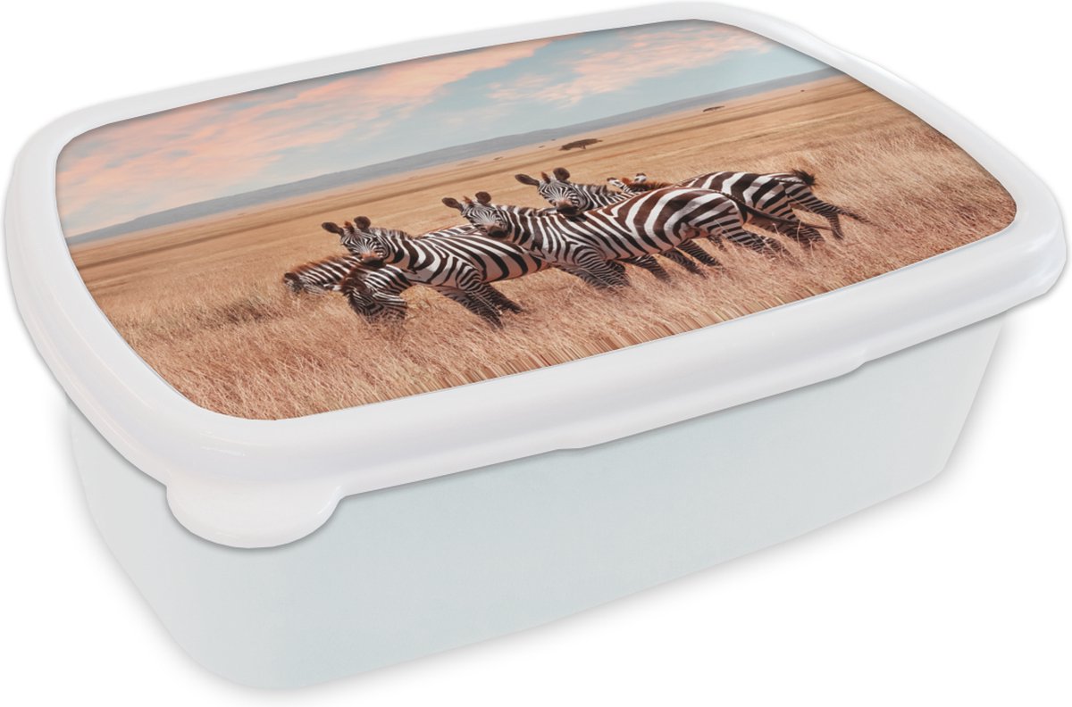 Broodtrommel Wit - Lunchbox - Brooddoos - Zebras in de natuur - 18x12x6 cm - Volwassenen