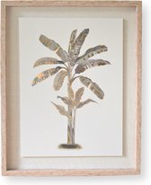 Schilderij Palmboom | 50x40 | BALI. Lifestyle