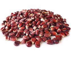 Rode Maïs 2,5KG | Karpervissen | Partikels | Karper Aas | Karper Vissen | Karper Voer | Karper