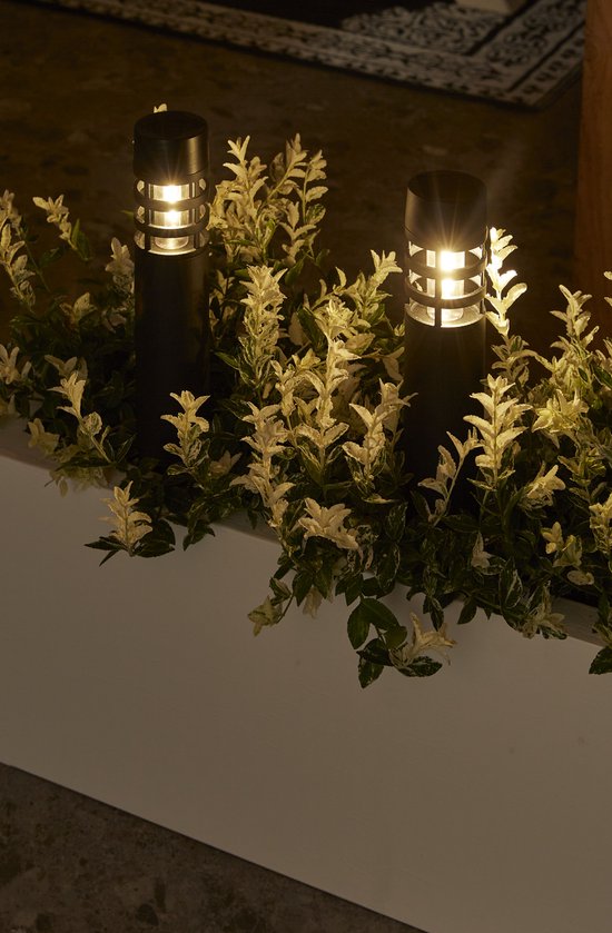 Twee zwarte solar grondspots tussen groen met wit blad.