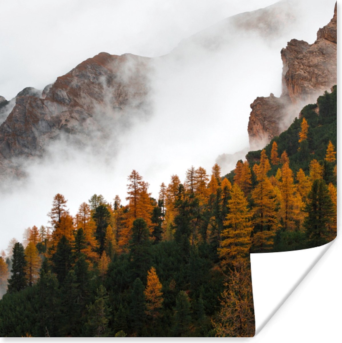 Poster Berg - Mist - Bos - 30x30 cm