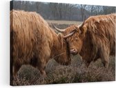 Artaza Canvas Schilderij - Twee Schotse Hooglanders Knuffelen Elkaar - 90x60 - Foto Op Canvas - Canvas Print - Muurdecoratie