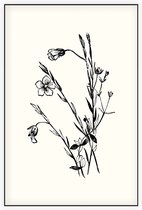 Geelhartje zwart-wit (Linum Cartharticum) - Foto op Akoestisch paneel - 100 x 150 cm