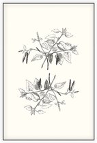 Berk zwart-wit plus (Birch) - Foto op Akoestisch paneel - 150 x 225 cm