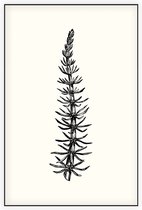 Lidsteng zwart-wit (Mares Tail) - Foto op Akoestisch paneel - 80 x 120 cm