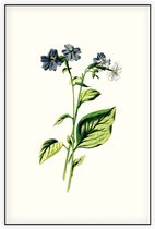 Blauwklokje (Browallia White) - Foto op Akoestisch paneel - 150 x 225 cm