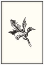 Ilex Opaca zwart-wit (Holly Berries) - Foto op Akoestisch paneel - 150 x 225 cm