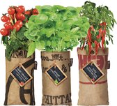 Baza Hangtuintjes - Hangplant groenten - Groentezaden - Tomaat - Rode peper - Basilicum