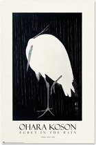 Grupo Erik Egret In The Rain  Poster - 61x91,5cm