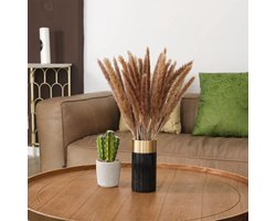 Fluffy Pampas - 15 stuks - Droogbloemen - Droogbloemen pluimen - Naturel grassen - 70 cm - Natuurlijk Bloemen