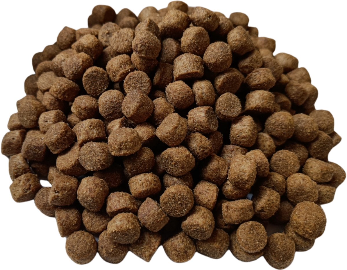 Zoolicious Lam & Rijst - 100% hoogwaardige en uitgebalanceerde voeding voor volwassen honden van alle rassen