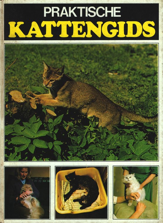 Boek cover Praktische kattengids van Patricia Scott (Hardcover)