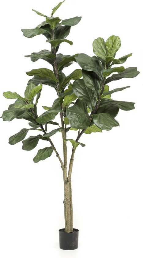 Ficus Lyrata ramifié - plante artificielle