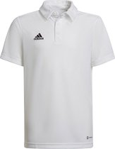 adidas - Entrada 22 Polo Youth - Voetbalpolo Kids-164