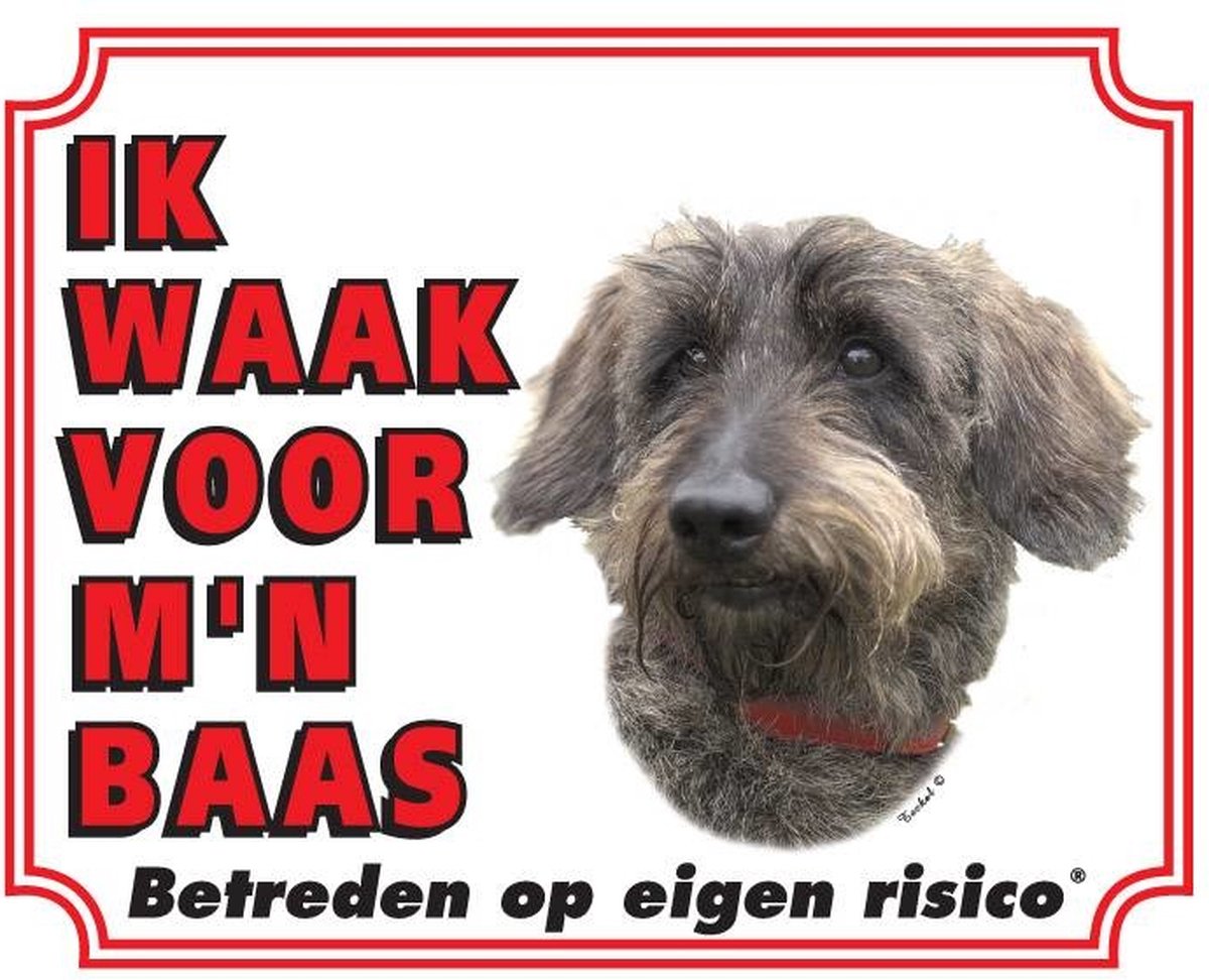 Teckel Waakbord - Ruwhaar