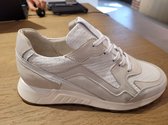 Piedi Nudi Sneaker 2507-04.10PN White Mushroom